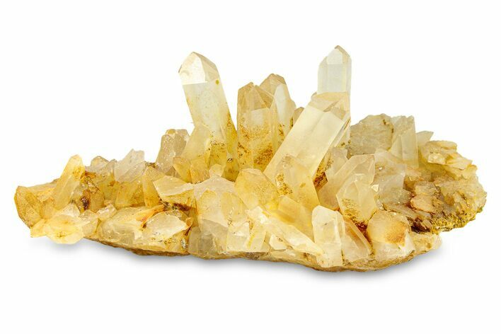 Quartz Crystal Cluster - Spruce Ridge, Washington #301241